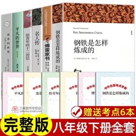 钢铁是怎样炼成的八年级下册初中生原著全译本完整版青少年中学生课外阅读小说文学世界名著