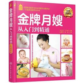 就业金手指系列--金牌月嫂从入门到精通
