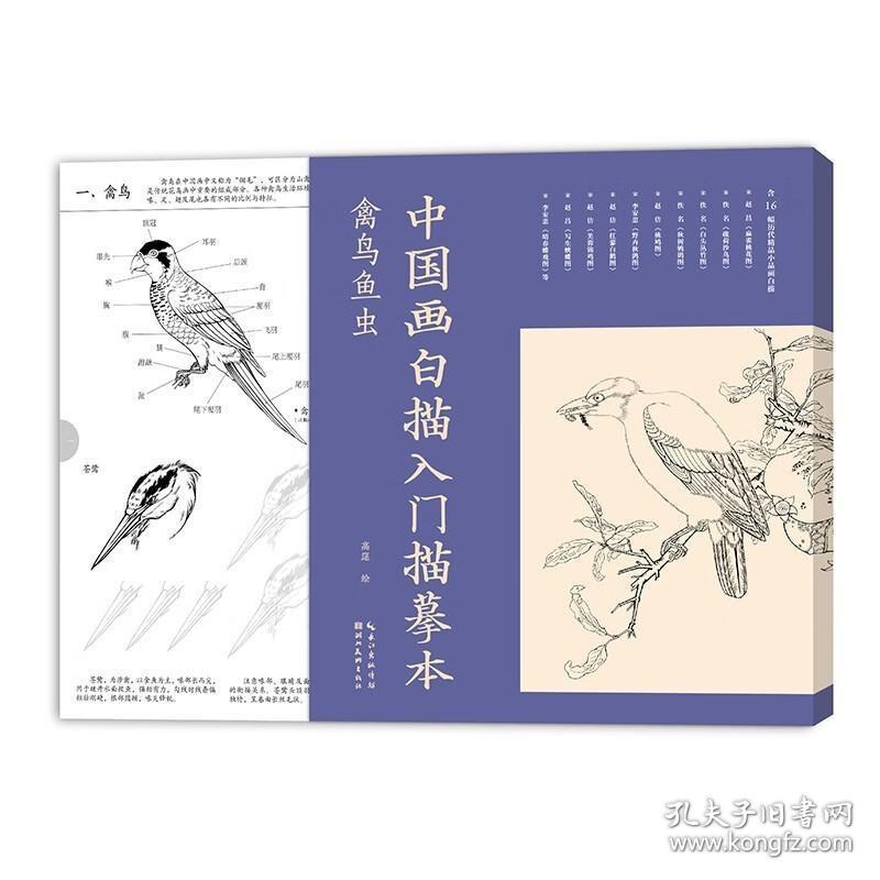 中国画白描入门描摹本 禽鸟鱼虫 历代精品小品初学者画白描书 中国画白描入门描摹本系列 小品画白描牡丹荷花竹子 湖北美术出版社