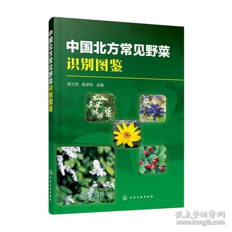 中国北方常见野菜识别图鉴 陈之欢 野生植物蔬菜识别技术书 北方野菜识别速查图鉴 野菜识别采摘食用一本通 辨别野菜方法技巧教程