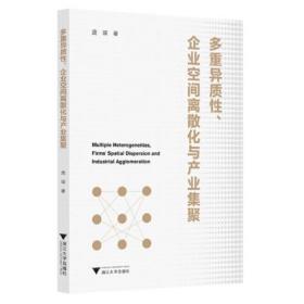 多重异质性·企业空间离散化与产业集聚