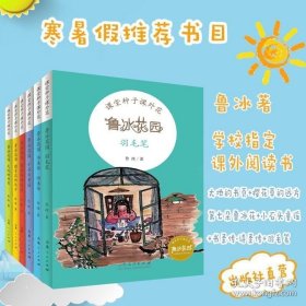 全六册 鲁冰花园系列2021年寒暑假推荐书目出版社正版 书圣传诗圣传小石头童谣第七朵鲁冰花樱草花的远方大地的书页羽毛笔鲁冰