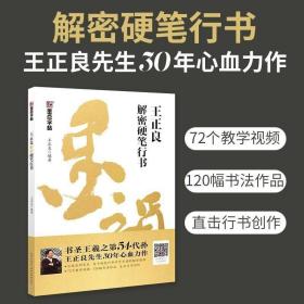 墨点字帖成人练字王正良解密硬笔行书书法练字