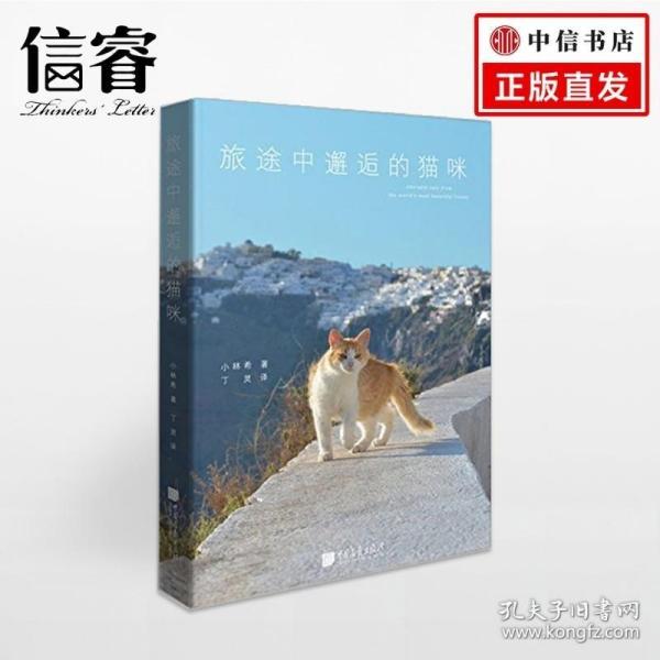 旅途中邂逅的猫咪