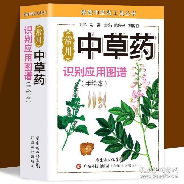 精致中草药工具丛书：常用中草药识别应用图谱（手绘本）