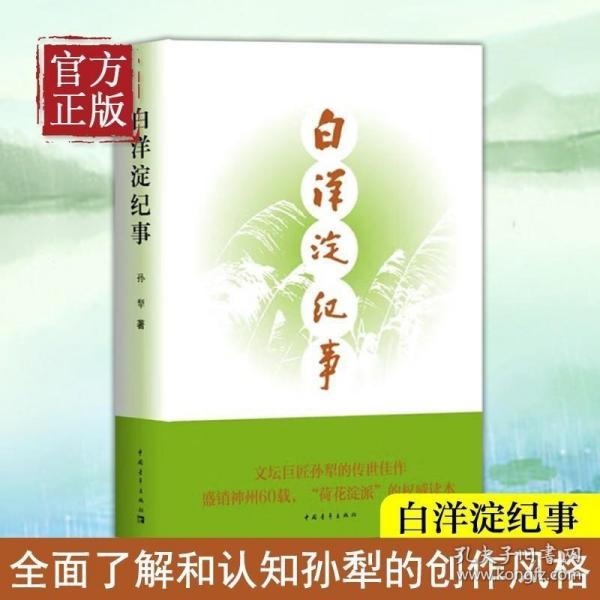 白洋淀纪事 名著阅读课程化丛书（统编语文教材配套阅读）七年级上