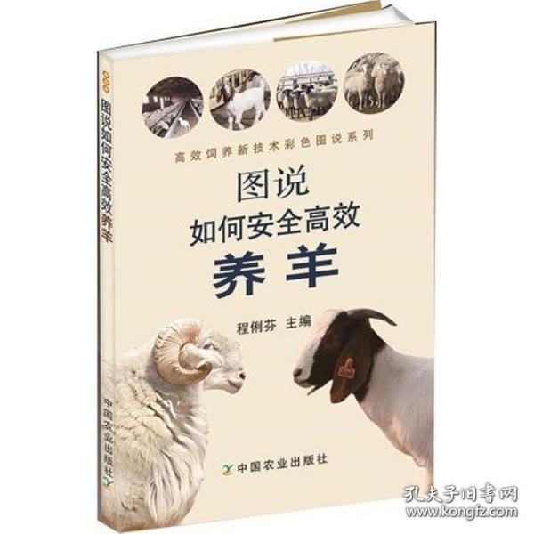 图说如何安全高效养羊