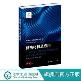 先进化工材料关键技术丛书--储热材料及应用