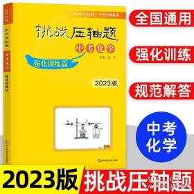 2020挑战压轴题·中考化学—强化训练篇