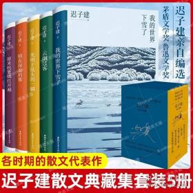 迟子建散文系列：我的世界下雪了