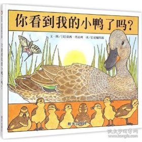 信谊宝宝起步走：你看到我的小鸭了吗？