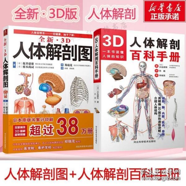 3D人体解剖图