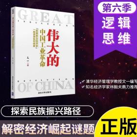 伟大的中国工业革命：“发展政治经济学”一般原理批判纲要