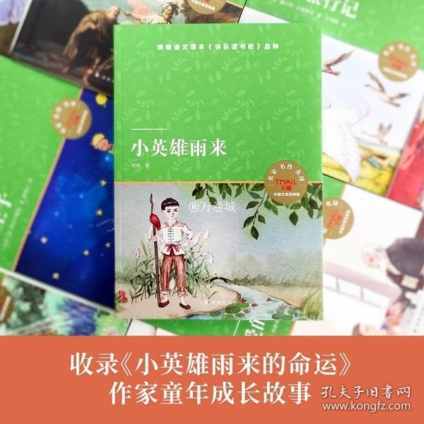 爱的教育（小译林中小学阅读丛书 名家名译图文并茂 人教版统编语文教材快乐读书吧六年级上）