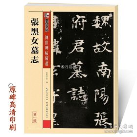 正版书籍张黑女墓志字帖魏碑正版墨点传世碑帖第一辑张玄墓志初学者毛笔书法临摹范本魏碑毛笔字帖