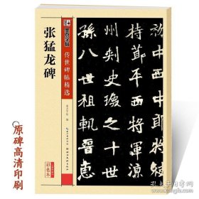 正版书籍张猛龙碑墨点字帖毛笔楷书法详解成人初学者练字书籍官方正版传世经典碑帖第四辑张猛龙原碑原帖拓本彩色版魏碑临摹放大本毛笔字帖