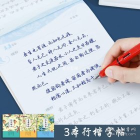 正版书籍荆霄鹏行楷书字帖练字大学生高中生初中生墨点初学者行楷字帖女生男生练字帖荆霄鹏硬笔书法练字行书钢笔字帖