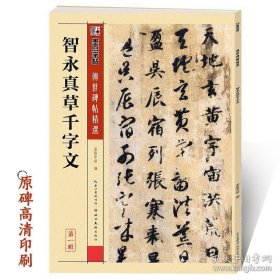 正版书籍智永真书千字文墨点传世碑帖第一辑附简体旁注成人初学者临摹毛笔书法草书字帖