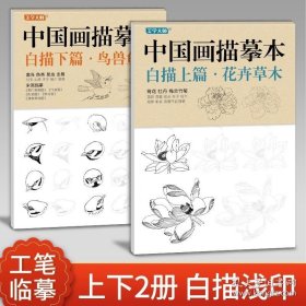 正版书籍美学大师 中国画描摹本工笔画上下2册/基础训练篇+强化提高篇 花卉草木鸟兽鱼虫绘画临摹本入门零基础书教材超级线条浅印