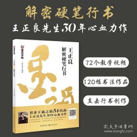 正版书籍王正良行书字帖解密硬笔行书字帖钢笔书法练字本行书成人练字行书男生女生初学者零基础行书速成视频解析教程