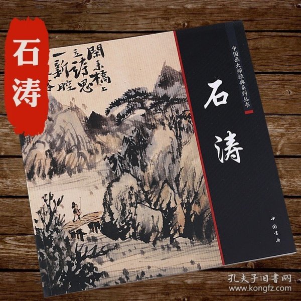 正版书籍石涛中国画大师经典系列山水画临摹范本画集画册册页精选高清图全集艺术