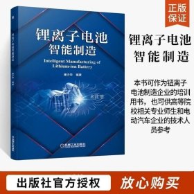 正版现货 锂离子电池智能制造 锂电池智能制造 铿离子电池原理和生产工艺 钮离子电池汽车产业发展的建议 钮离子电池国内外发展现状锂电池书