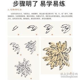 正版书籍妙笔丹青菊花中国画写意牡丹山水画梅花入门教材书教画墨点美术绘画老年大学成人初学者零基础入门教程书籍工笔画临摹范本写意菊花