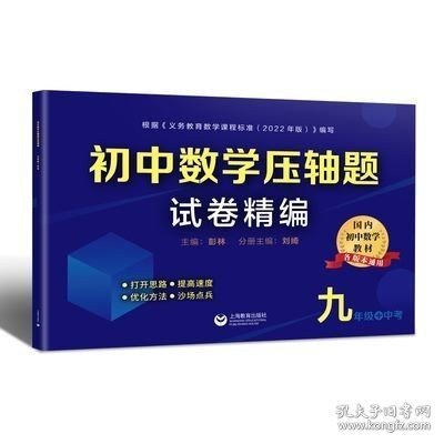 初中数学压轴题试卷精编（九年级＋中考）