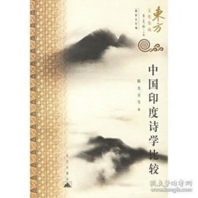 正版书籍中国印度诗学比较研究/东方文化集成