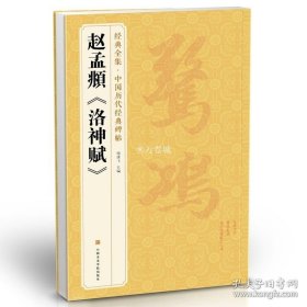 正版书籍经典全集 赵孟頫《洛神赋》 中国历代经典碑帖 书法行书字帖真迹原大临摹小楷正楷书籍练字入门集字学生 杨建飞主编