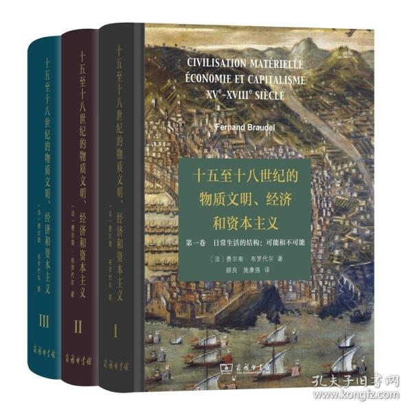 十五至十八世纪的物质文明、经济和资本主义（第一卷 日常生活的结构：可能和不可能）