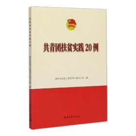 共青团扶贫实践20例