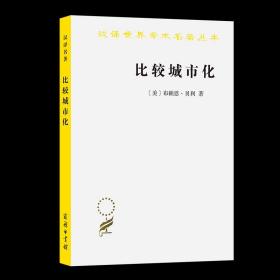 比较城市化：20世纪的不同道路