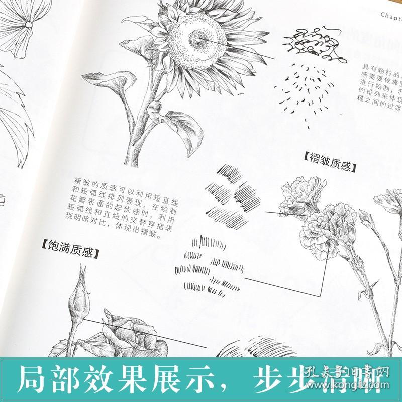 正版新书| 绝色画意 45朵美丽花草的色铅笔图绘 蓝博艺站 零基础花卉绘画入门 新人绘画指南书 四季花卉绘画参考书 彩铅花草画入门教程籍