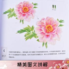 正版新书| 绝色画意 45朵美丽花草的色铅笔图绘 蓝博艺站 零基础花卉绘画入门 新人绘画指南书 四季花卉绘画参考书 彩铅花草画入门教程籍