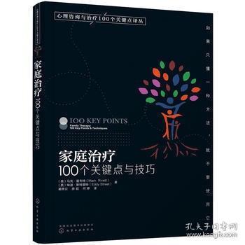 家庭治疗：100个关键点与技巧/心理咨询与治疗100个关键点译丛