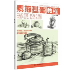 素描基础教程 张恒国 等 编著 著作 化学工业出版社 结构素描 美术技法 工艺美术（新）