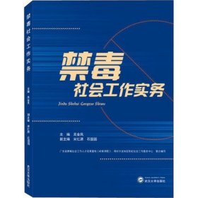 禁毒社会工作实务 9787307220676 吴金凤 武汉大学出版社