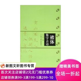 正版现货褚体集字古诗 褚遂良雁塔圣教序 王学良 上海书画出版社 9787806358856