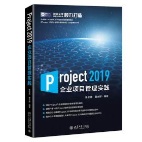 Project2019企业项目管理实践