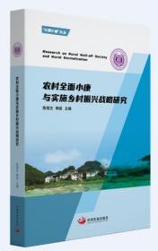 RT正版农村小康与实施乡村振兴战略研究/大国小康文丛中国发展出版社图书书籍