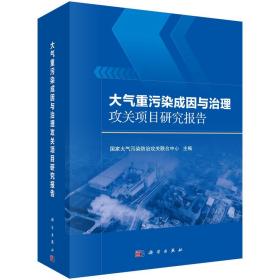 大气重污染成因与治理攻关项目研究报告