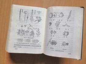 北方常用中草药手冊（作者：北京．沈阳．兰州．新疆部队后勤部卫生部合编，人民卫生出版社1971年1月版）