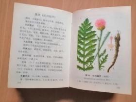 北方常用中草药手冊（作者：北京．沈阳．兰州．新疆部队后勤部卫生部合编，人民卫生出版社1971年1月版）