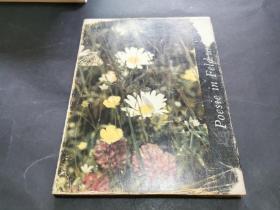 poesie in feld und flur （稀见精装德文原版摄影画册 昆虫花草类）