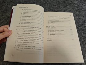 现象学和拉康论精神分裂症：在脑研究的十年之后