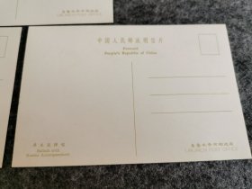 新疆歌舞 明信片（内精美明信片共11张 乌鲁木齐市邮政局发行）