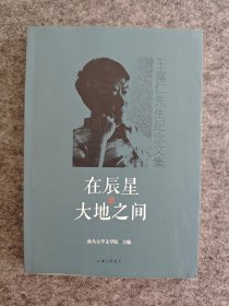 在辰星与大地之间：王富仁先生纪念文集