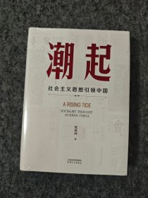 潮起 社会主义思想中国（精装全新未拆封）