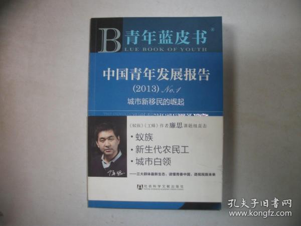 中国青年发展报告. （2013）No.1：城市新移民的崛起